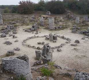 The Stone Forest