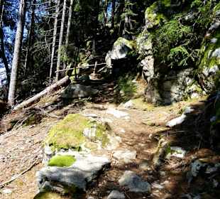 Der steinige Weg 