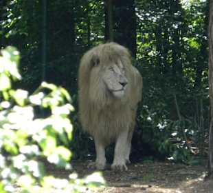 Serengeti Park Hodenhagen