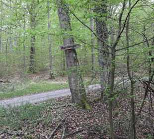 Wanderweg Firstwaldrunde