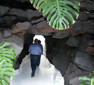 Fundacion Cesar Manrique