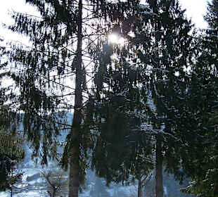 Osterspazierung am Thiersee