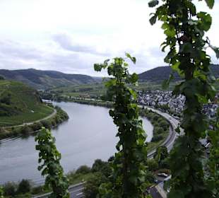 Am Berg