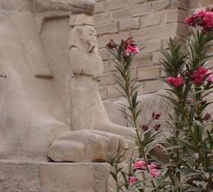 Westseite vom Luxortempel