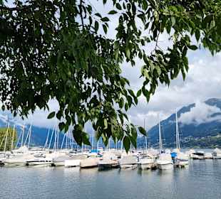 Hafen Ascona