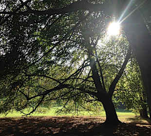 Nahegelegener Farwick-Park