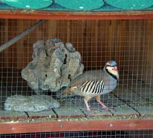 Blick zum Hafen von Antalya