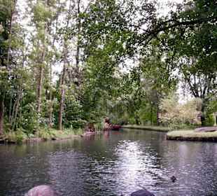 Kanufahrt im Spreewald
