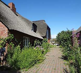 Im Zentrum der Hallig