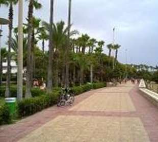 Hotel Playamar & Annex Strandpromenade