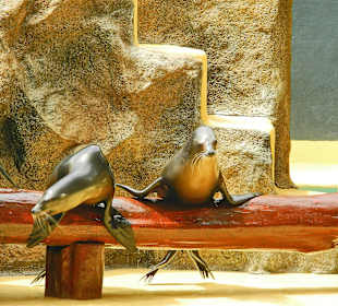 Sie "klatschen" über sich selber?