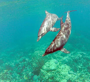 Sonnenuntergangstour