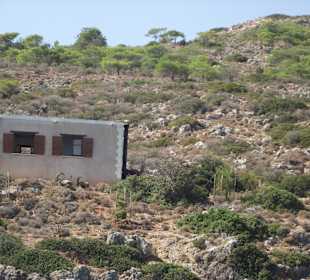 Forschungsstation auf der Ziegeninsel