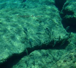 Diakoftis Unterwasser