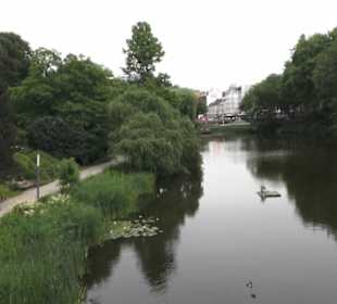 Alter Botanischer Garten