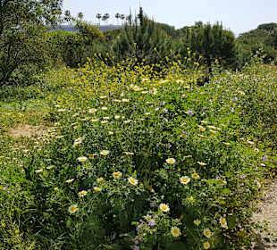 Spaziergang 