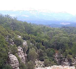 Köprülü Canyon Nationalpark