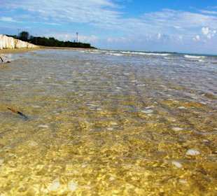 Ende September 2010 Inspirationen