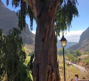 Inseltour Romántica Alltours