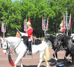 Impressionen Wachwechsel Buckingham Palast