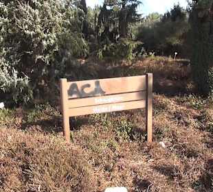 Botanischer Garten - Rombergpark