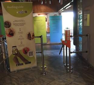 Fastnachtsmuseum Narrenschopf