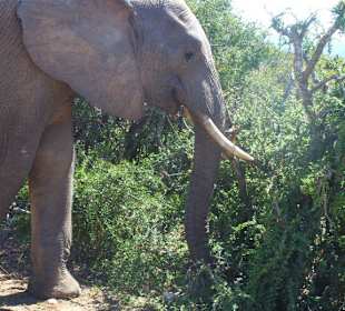Überraschung an frühen Morgen!