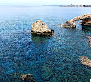 Ayia Napa Bogen Monachus Monachus