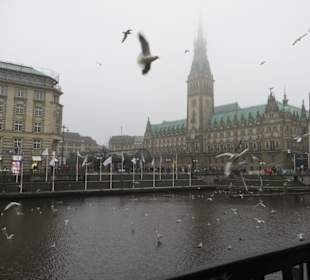 Ein trüber Tag & trotzdem schön