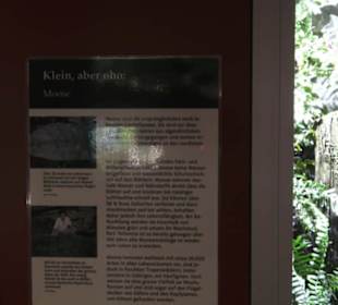 Botanischer Garten der Universität Zürich