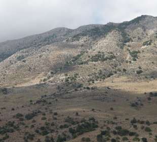 Озеро Курнас 