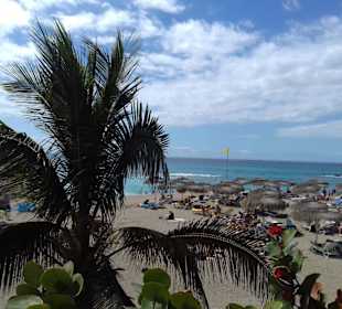 Strand El Duque in Costa Adeje