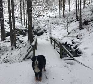 Wandern Frauengau