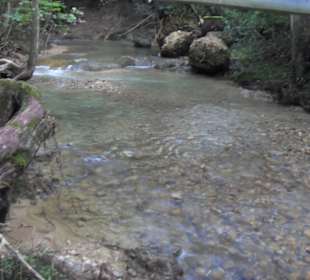 Wasserlauf im Wald