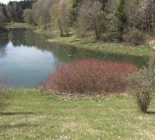 Totenbachsee