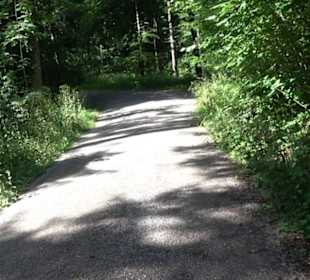 Premiumspazierweg Früchtetrauf-Leisawegle