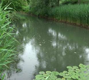Fischlehrpfad Neu-Ulm
