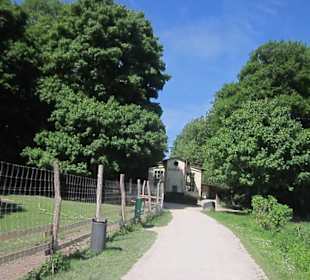Osteinscher Landschaftspark