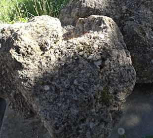 RiesKraterMuseum Nördlingen