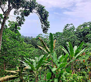 Parque Natural Obô do Príncipe