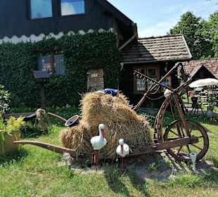 Wandern Burg (Spreewald)
