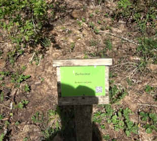 Arboretum