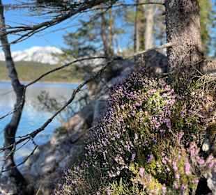 Eibsee