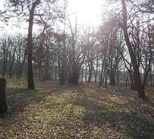 Wunderschöne Boberger Niederung