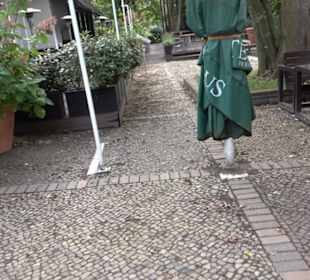 Teehaus im Englischen Garten