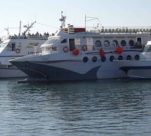 Unser Schiff mit dem Haifischmaul