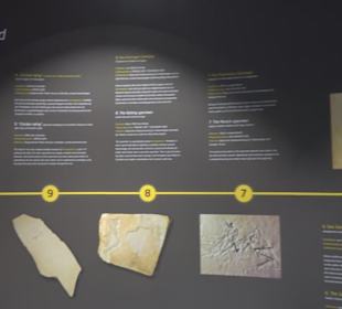 Dinosaurier Museum Altmühltal