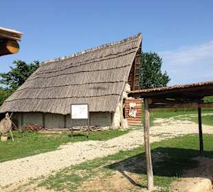 Casoni, die das frühere Leben zeigen