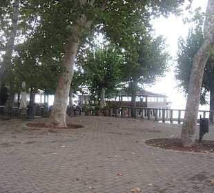 Bolsenasee
