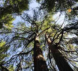 Wandern Heiligenblut